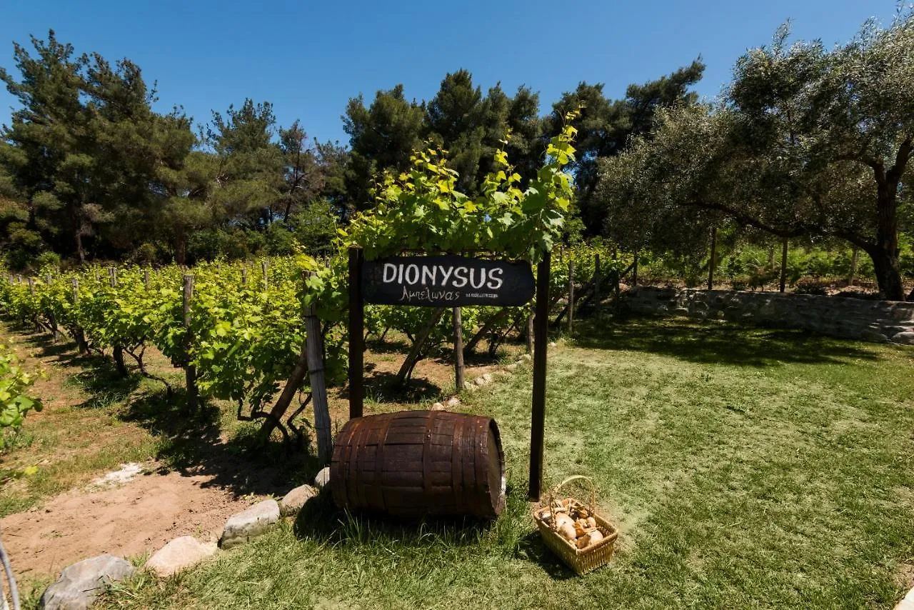 Dionysus Apartments & Suites Ierissos