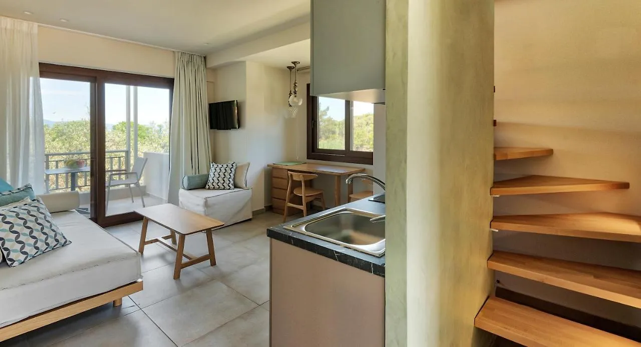 Dionysus Apartments & Suites Ierissos