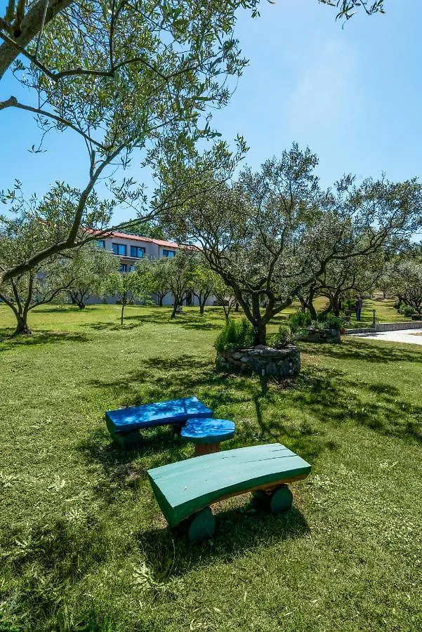 Dionysus Apartments & Suites Ierissos